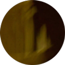 Profile photo of Danny Weddle