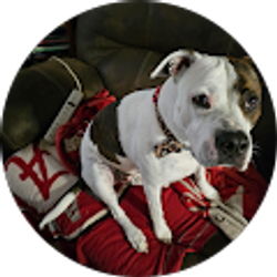 Profile photo of cathline denham