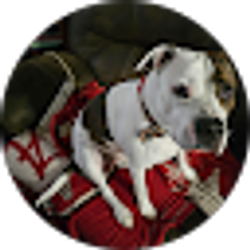 Profile photo of cathline denham