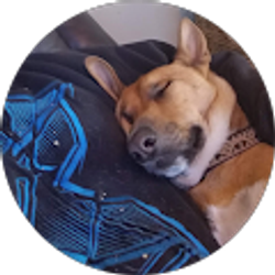 Profile photo of ruben aragon