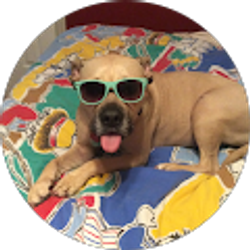 Profile photo of KEP Perkins