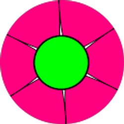 Profile photo of Diana Carver