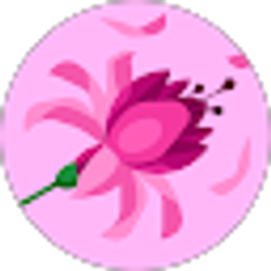 Profile photo of liz Rojas