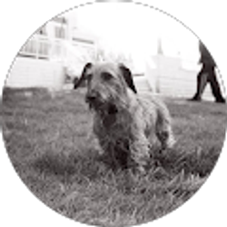 Profile photo of Joe Lewis