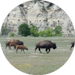 Profile photo of Veetz G