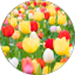 Profile photo of justyna wenc