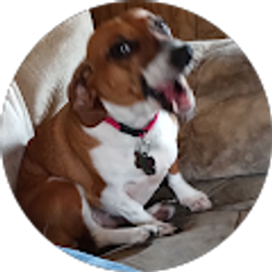 Profile photo of David Beahm