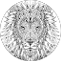 Profile photo of Mike Smith