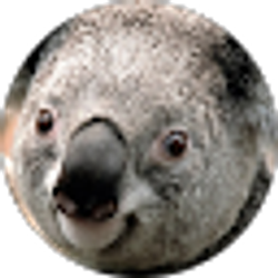 Profile photo of Kati Thomas