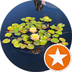 Profile photo of LaDe