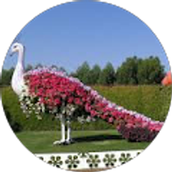 Profile photo of rajani mara