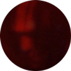 Profile photo of Tanner Brown