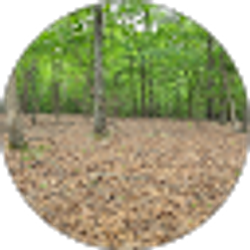 Profile photo of eeoo