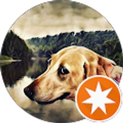 Profile photo of Ed M