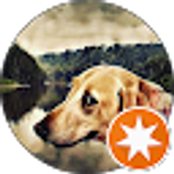 Profile photo of Ed M