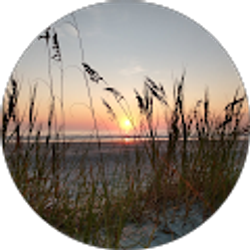 Profile photo of catt mullican