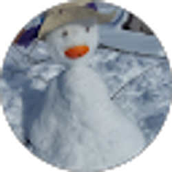 Profile photo of R S