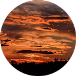 Profile photo of Jay