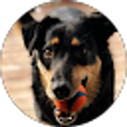 Profile photo of Becky Remley