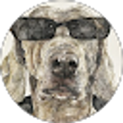 Profile photo of Lisa McCade