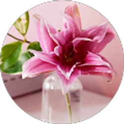 Profile photo of Cathy Williams