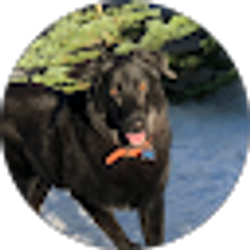 Profile photo of T Krevitsky