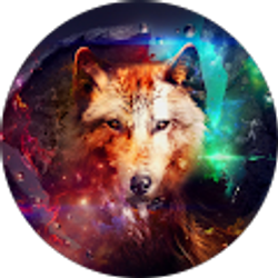 Profile photo of Jared DesMarais