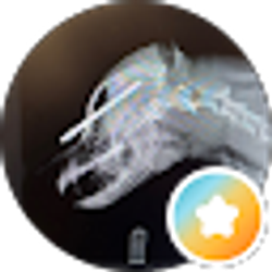 Profile photo of Jasmine S