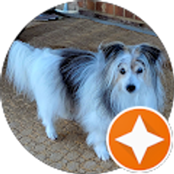 Profile photo of Peri Stanley