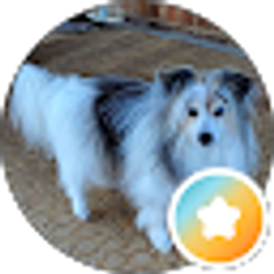 Profile photo of Peri Stanley