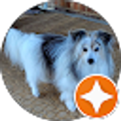 Profile photo of Peri Stanley