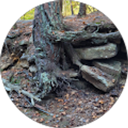 Profile photo of Raymond William