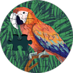 Profile photo of Wazeeh Moonwar