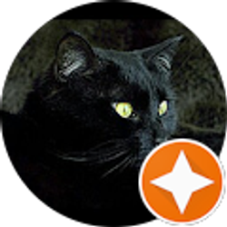 Profile photo of Judy Hamilton