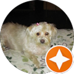 Profile photo of Shannon Stephens