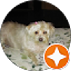 Profile photo of Shannon Stephens