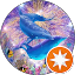 Profile photo of Catalina Baby