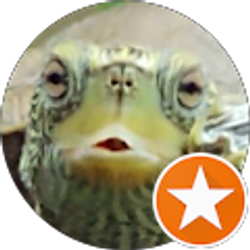 Profile photo of mr 6