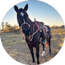 Profile photo of Maci James