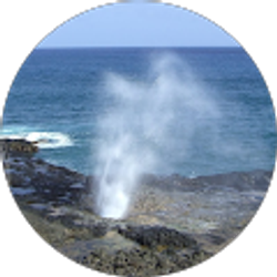 Profile photo of Kevin Jacinto