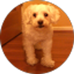 Profile photo of L. Isayo