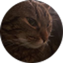 Profile photo of Lori Rosa