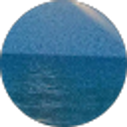 Profile photo of Gail Timmons Eazarsky