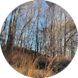 Profile photo of Allison Armsworthy