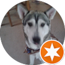 Profile photo of William McCartney