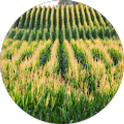 Profile photo of Andrew Turner