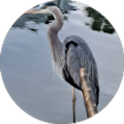 Profile photo of Jackie Turzer