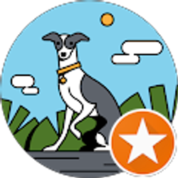 Profile photo of Phil