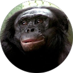 Profile photo of Zach Mason