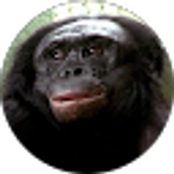 Profile photo of Zach Mason
